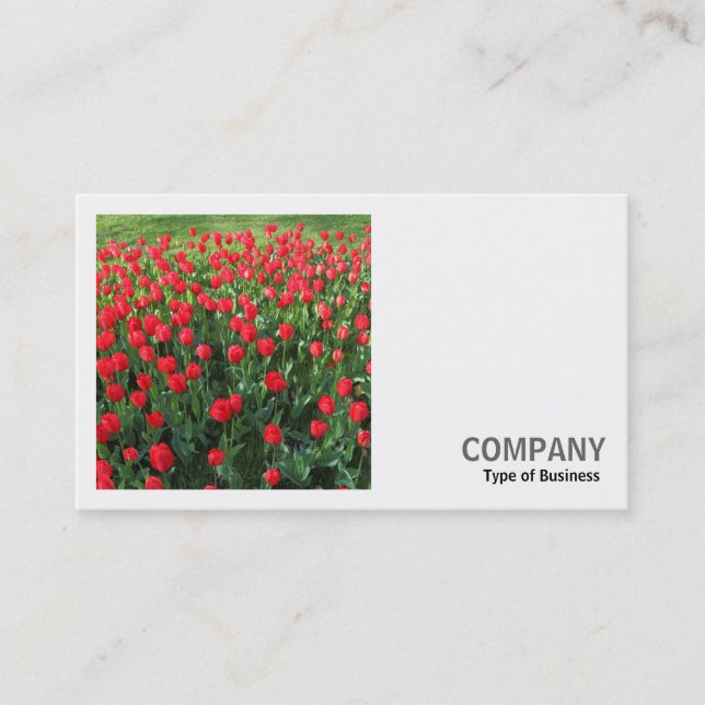 Carte De Visite Photo carré (v2) - Lit de tulipes rouges 01 (Devant)