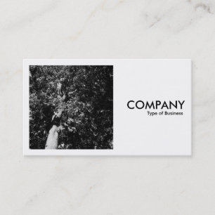 Carte De Visite Photo carré (v2) - London Plane Tree