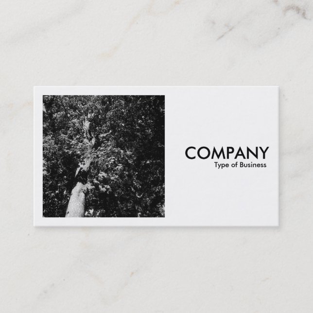 Carte De Visite Photo carré (v2) - London Plane Tree (Devant)