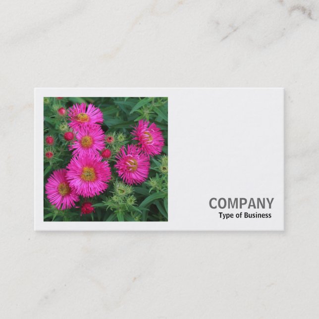 Carte De Visite Photo carré (v2) - Michaelmas Daisies (Devant)
