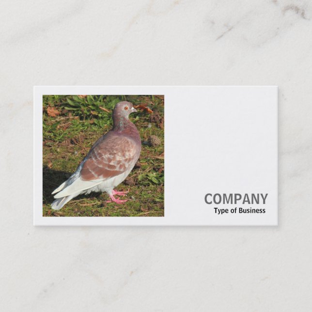 Carte De Visite Photo carré (v2) - Pigeon (Devant)