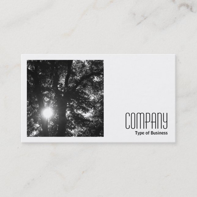 Carte De Visite Photo carré (v2) - Sun Through Trees B&W (Devant)