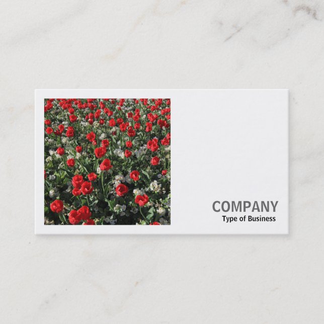 Carte De Visite Photo carré (v2) - Tulipes rouges et Primroses (Devant)
