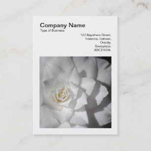 Carte De Visite Photo carré (v3) - Camellia blanche