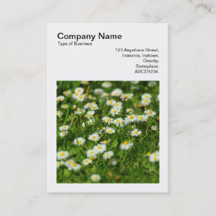 Carte De Visite Photo carré (v3) - Daisy Meadow