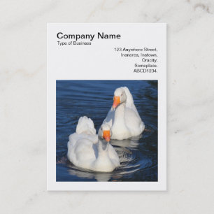 Carte De Visite Photo carré (v3) - Emden Geese