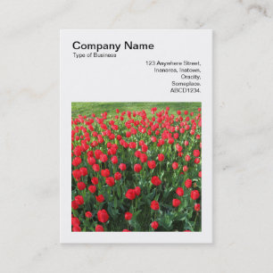 Carte De Visite Photo carré (v3) - Lit de tulipes rouges 01