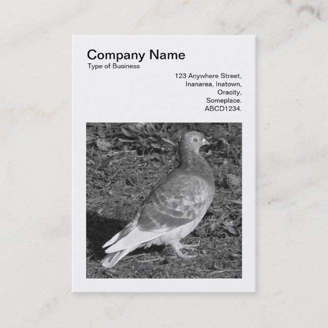 Carte De Visite Photo carré (v3) - Pigeon BW (Devant)