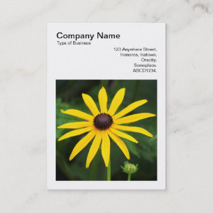 Carte De Visite Photo carré (v3) - Rudbeckia hirta
