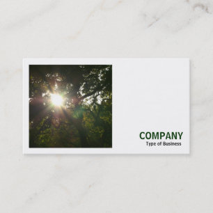 Carte De Visite Photo carré (v3) - Soleil dans les arbres