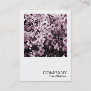 Carte De Visite Photo Carrée 041 - Fleur de Cerisier
