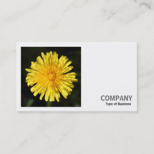 Carte De Visite Photo carrée (v2) - pissenlit