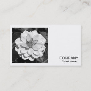 Carte De Visite Photo carrée (v3) - Dahlia 'David Howard'