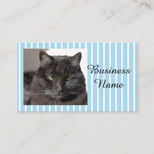 Carte De Visite Photo Cat