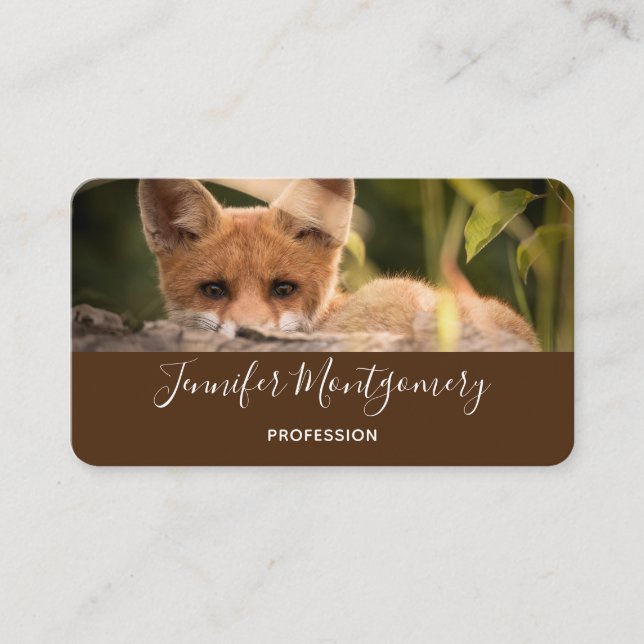 Carte De Visite Photo de Cute Little Orange Fox (Devant)