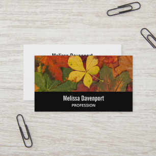 Carte De Visite Photo de feuilles d'automne Couleurs d'automne