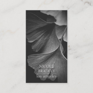 Carte de visite photo de Still Life