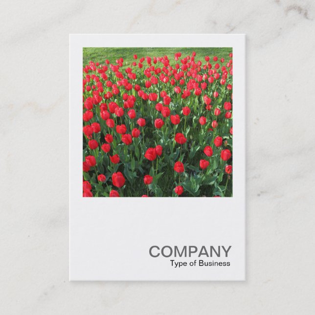 Carte De Visite Photo du carré 0510 - Lit des Tulipes Rouges 01 (Devant)