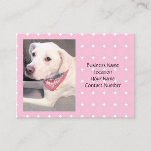 Carte De Visite Photo du magnifique chien blanc élégant portant 