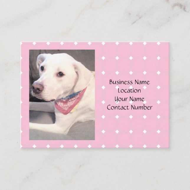 Carte De Visite Photo du magnifique chien blanc élégant portant l' (Devant)