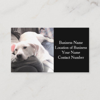Carte De Visite Photo d'un chien blanc mignon sur un canapé noir
