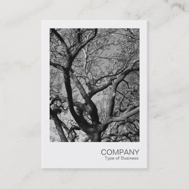Carte De Visite Photo instantanée 013 - Branches (Devant)