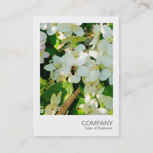 Carte De Visite Photo instantanée 018 - Miel de cerise en fleurs