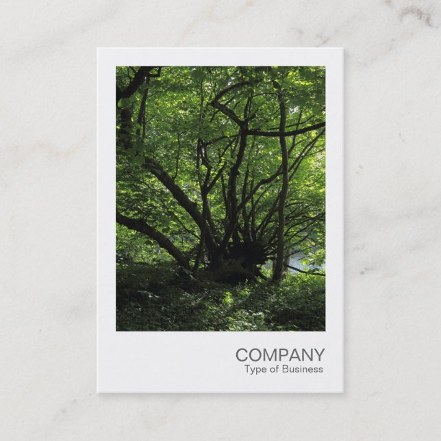 Carte De Visite Photo instantanée 043 - Arbre inhabituel (Devant)