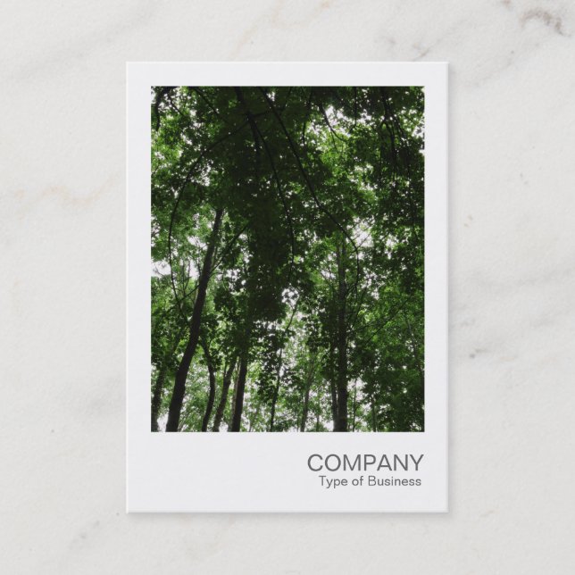 Carte De Visite Photo instantanée 048 - Canopée de bois 01 (Devant)