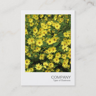 Carte De Visite Photo instantanée 084 - Marguerites jaunes