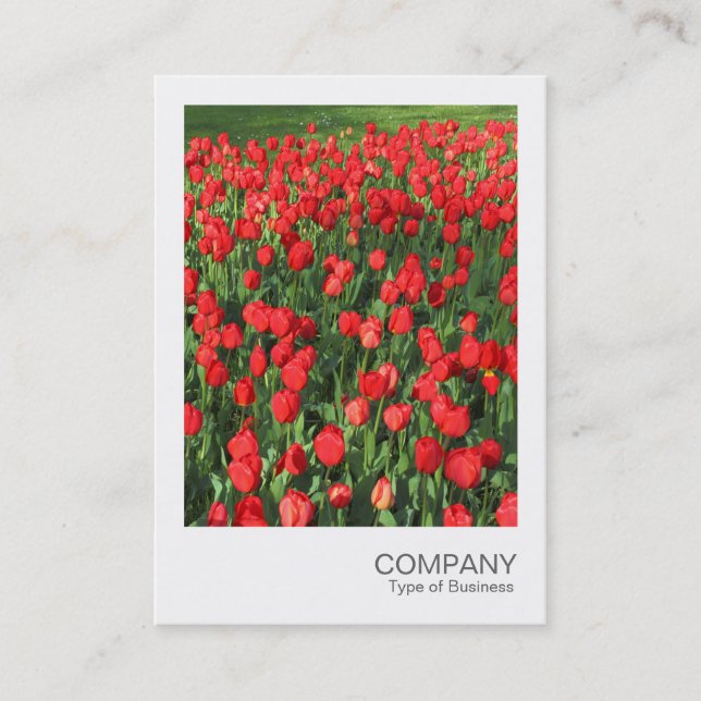 Carte De Visite Photo instantanée 087 - Lit de tulipes rouges 02 (Devant)