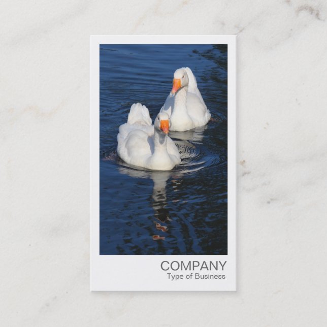 Carte De Visite Photo instantanée - Emden Geese (Devant)