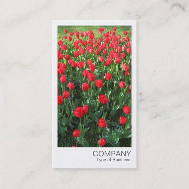 Carte De Visite Photo instantanée - Lit de Rouges Tulipes 01 (Devant)