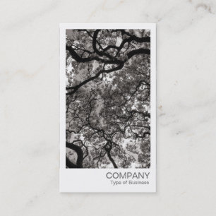 Carte De Visite Photo instantanée - Magnolia Trees