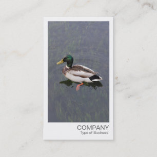 Carte De Visite Photo instantanée - Mallard Duck