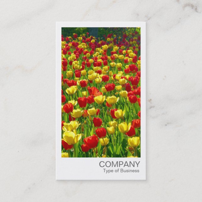 Carte De Visite Photo instantanée - Tulipes rouges et jaunes (Devant)