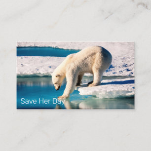 Carte De Visite Photo Ours Polaire Bleu Blanc Inspiration Nature