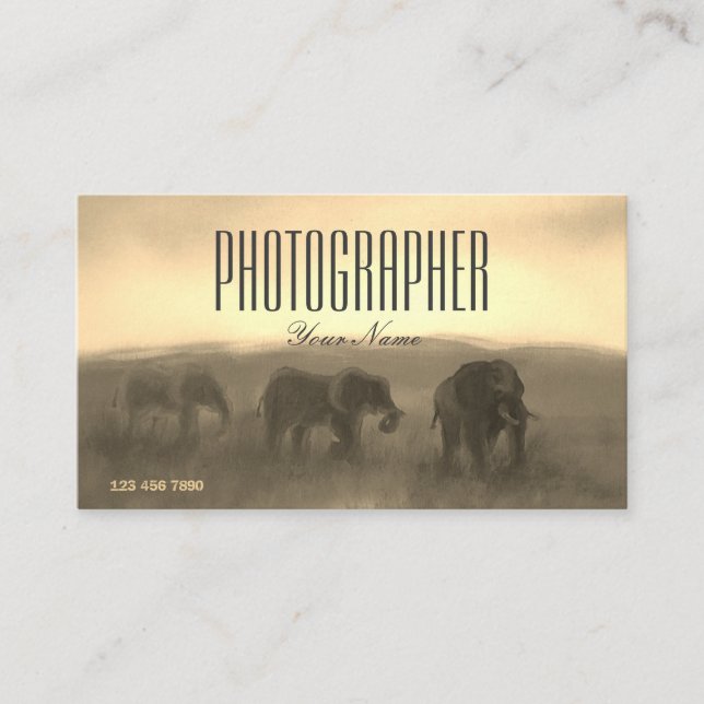 Carte De Visite Photo Peindre Photo Safari Sunset Photographe (Devant)