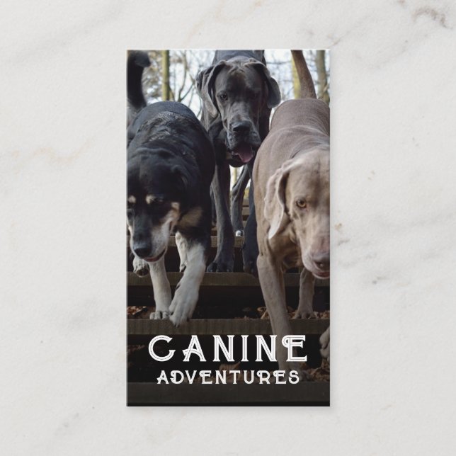 Carte de visite photo personnalisé Dog Walker (Devant)