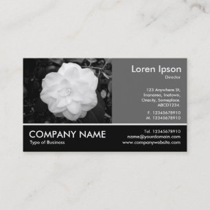 Carte De Visite Photo Pied - 60pc Grey - Camellia Blanche