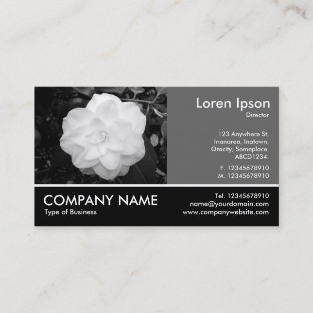 Carte De Visite Photo Pied - 60pc Grey - Camellia Blanche (Devant)