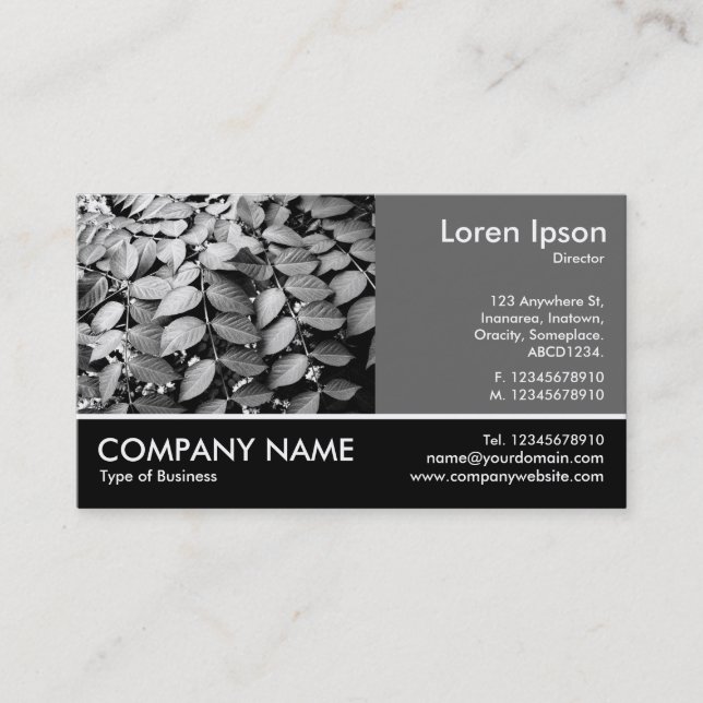 Carte De Visite Photo pied - 60pc Grey - Feuille (Devant)