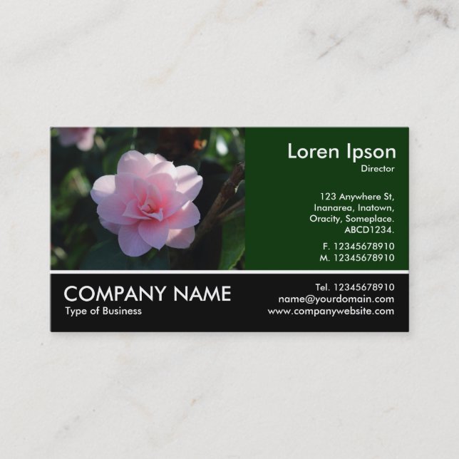 Carte De Visite Photo Pied - Camellia Rose (Devant)