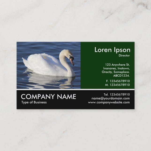 Carte De Visite Photo Pied - Cygne muet (Devant)