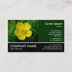 Carte De Visite Photo Pied - Dk Green - Beurre