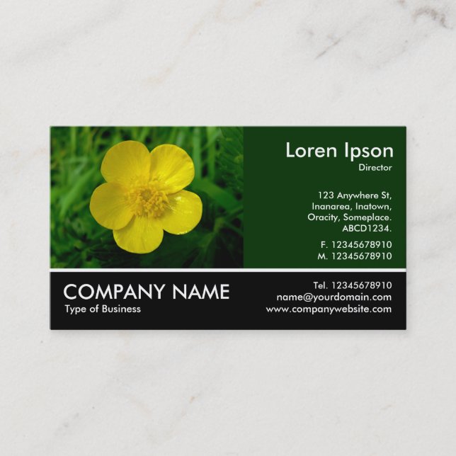 Carte De Visite Photo Pied - Dk Green - Beurre (Devant)