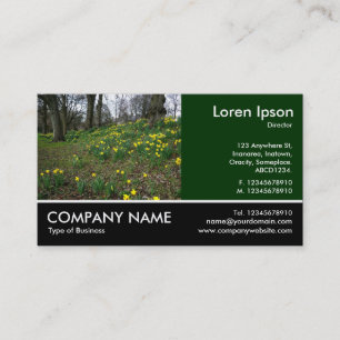 Carte De Visite Photo pied - Dk Green - Daffodils dans le parc