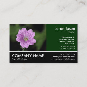 Carte De Visite Photo Pied - Geranium Endressii