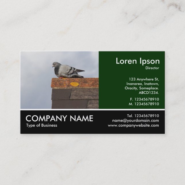Carte De Visite Photo Pied - Good Morning Pigeon (Devant)