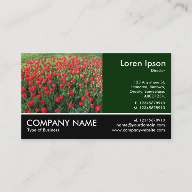 Carte De Visite Photo Pied - Lit de Rouges Tulipes 01 (Devant)